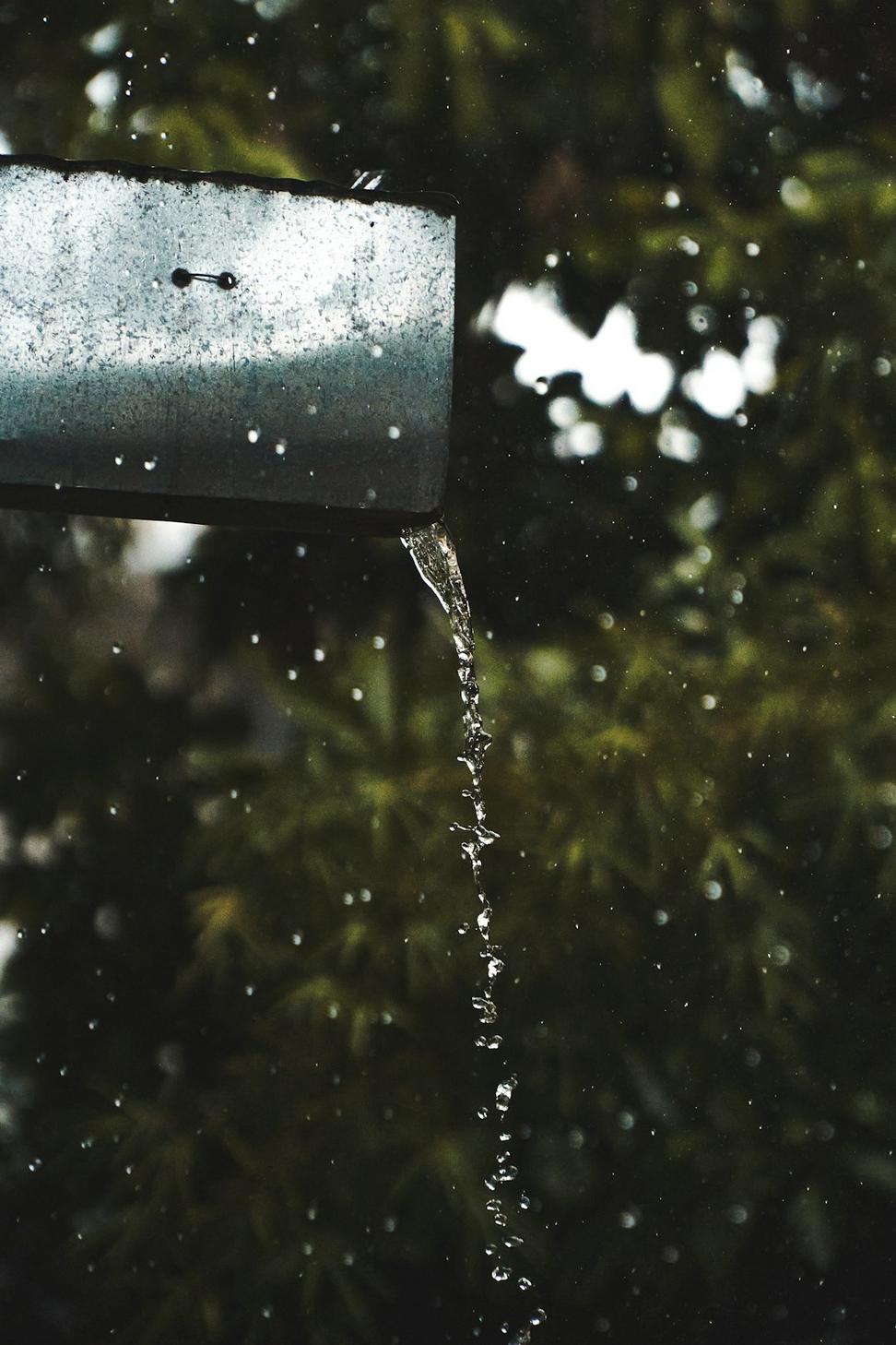 Rainwater harvesting